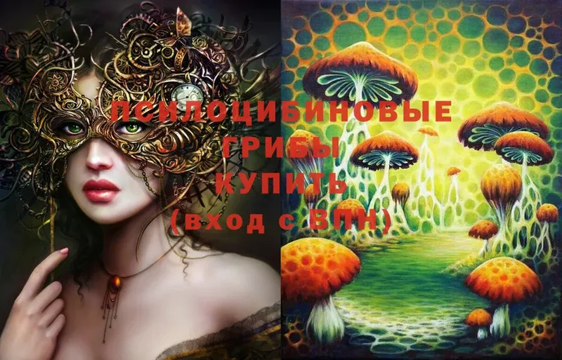 Галлюциногенные грибы Psilocybine cubensis  Отрадное 